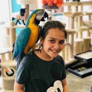 Meet your Posher, Manuella